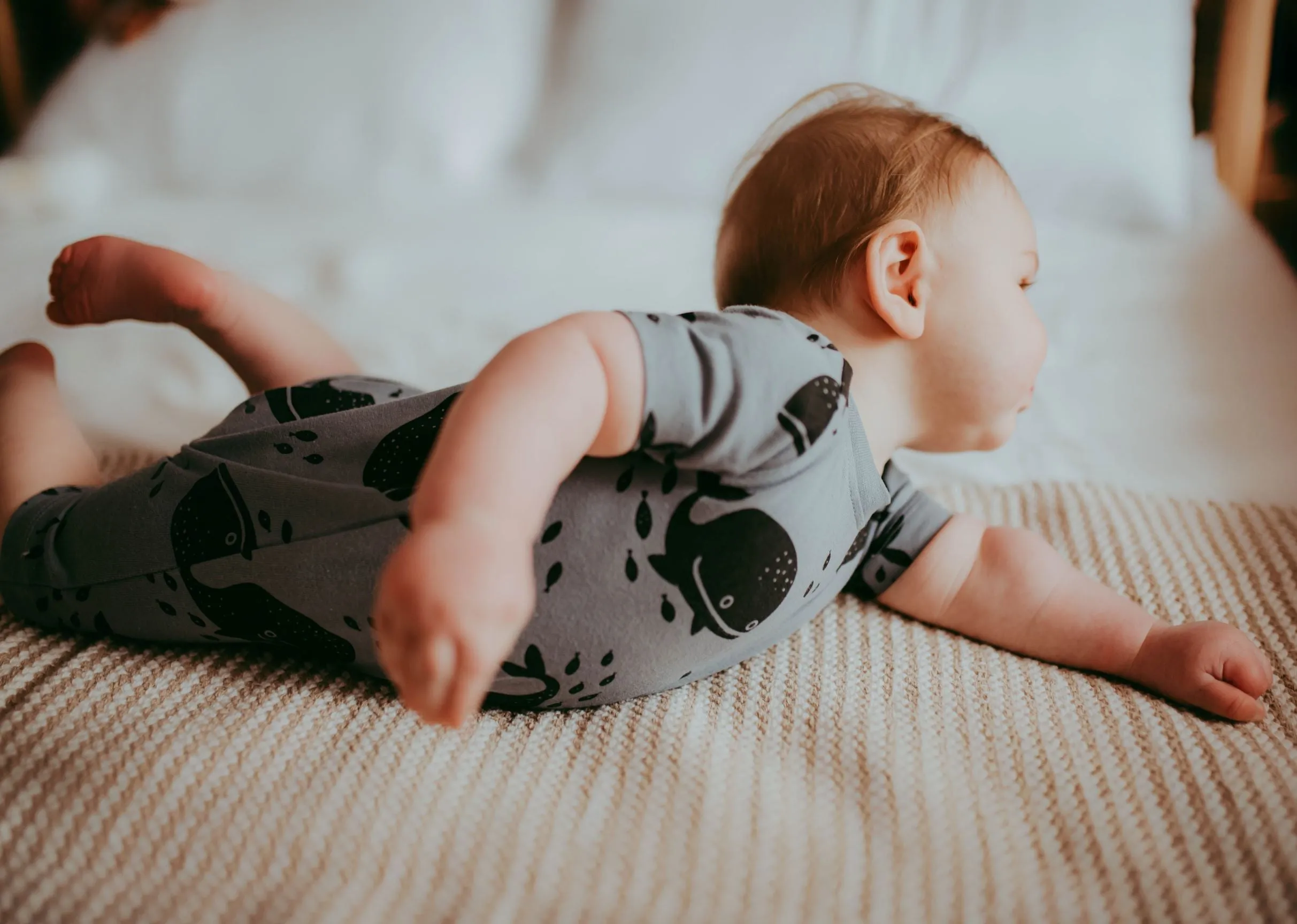 Whales Romper